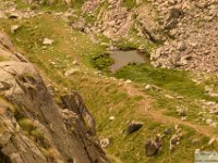 2025-07-27 M. Pelago e Lacs Bessons 151